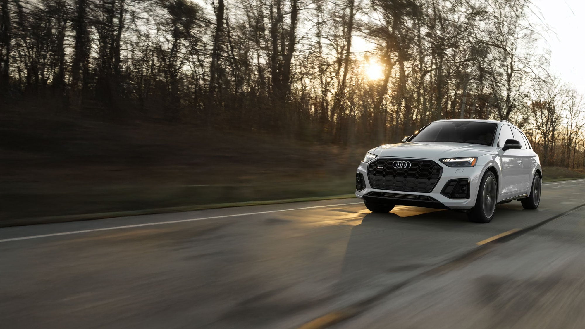 Audi SQ5 80A Parts