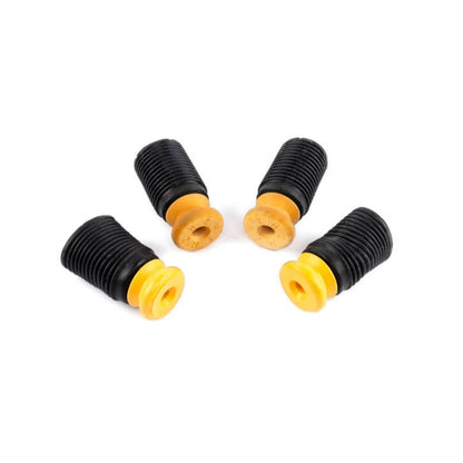 AST Adjustable Lowering Springs + Dinan Supplemental Ride Kit | BMW F97 F98 X3M X4M