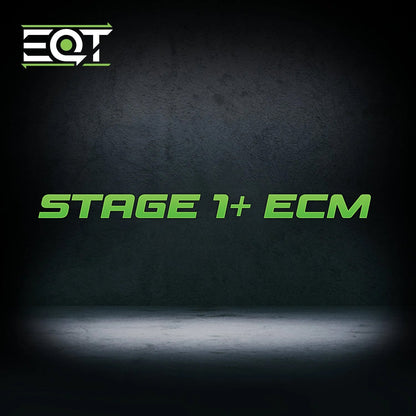 EQT Staged ECU Flex Fuel Tune - VW MQB Golf R 2.0T (Mk7)